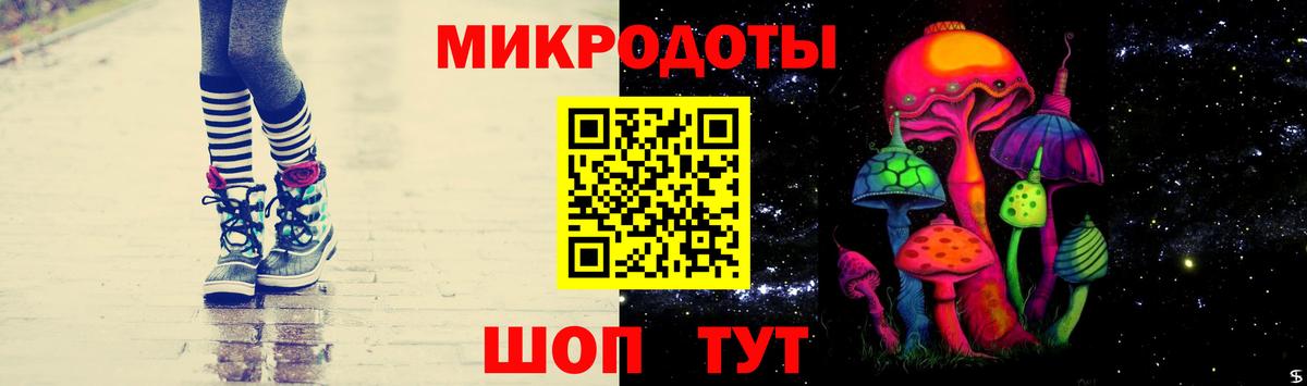 Галлюциногенные грибы мухоморы Коряжма